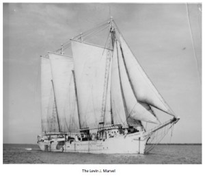Levin Marvel