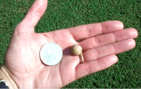 This is the musketball I found in the back yard, along with a reproduction War of 1812 coin I found on ebay.